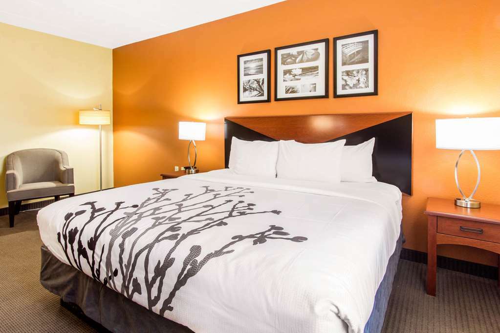 Comfort Inn & Suites Wildwood - The Villages Habitación foto